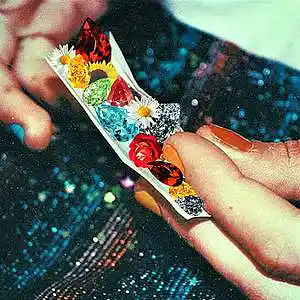 Picture for song 'Roll (1+1 FREE)' by artist 'Tarsan'