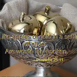 Picture for song 'Apples of Gold' by artist 'The Sonic Salad'