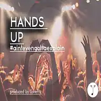 Picture for song 'Hands Up #aintevengottaexplain (short tagged)' by artist 'ToneFly'