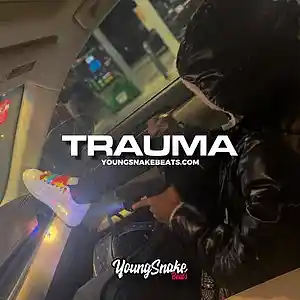 Picture for song '"TRAUMA" - Big 30 x Key Glock Type Beat' by artist 'Young Snake Beats'