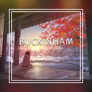 Picture for song 'buckinham' by artist '98VINCE'