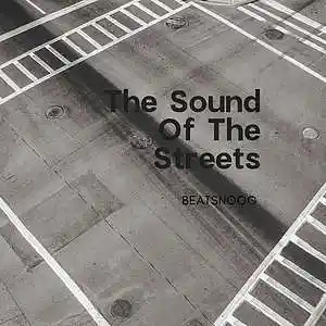 Picture for song 'The Sound Of The Streets' by artist 'Beatsnoog'