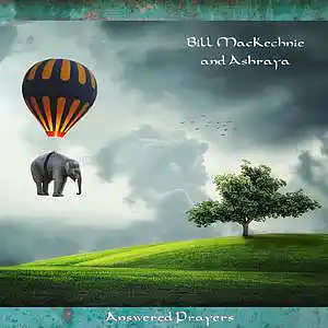 Picture for song 'Remembering The Wave (For Lily)' by artist 'Bill MacKechnie and Ashraya'