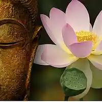 Picture for song 'Lotus Flower Unfold - Hip Hop Poetry' by artist 'Kamal Supreme'