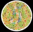 Picture for song 'Colorblind' by artist 'MC Johgum'