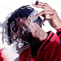 Song picture