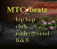Picture for song 'The Truth' by artist 'MTC beatz'