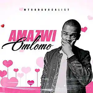 Picture for song 'Amazwi omlomo_prod.Mtho' by artist 'Mthodavocalist'