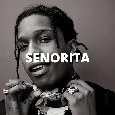 Picture for song 'Senorita (Buy 1 Get 10 Free)' by artist 'Kontraa'