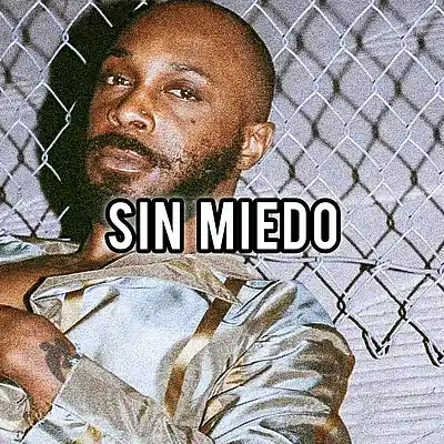 Picture for song 'EXPERIMENTAL JPEGMAFIA TYPE BEAT 2024 - "SIN MIEDO' by artist 'R.Beatz'