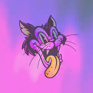 Picture for song 'HOT SAUCE (WITH HOOK)' by artist 'Surce'