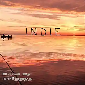 Picture for song 'Indie' by artist 'CosaNostraTrippyy'