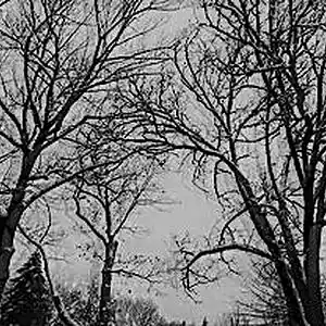 Picture for song 'SMOOTH(PROD.whoDeany)' by artist 'whoDeanyBeatz'