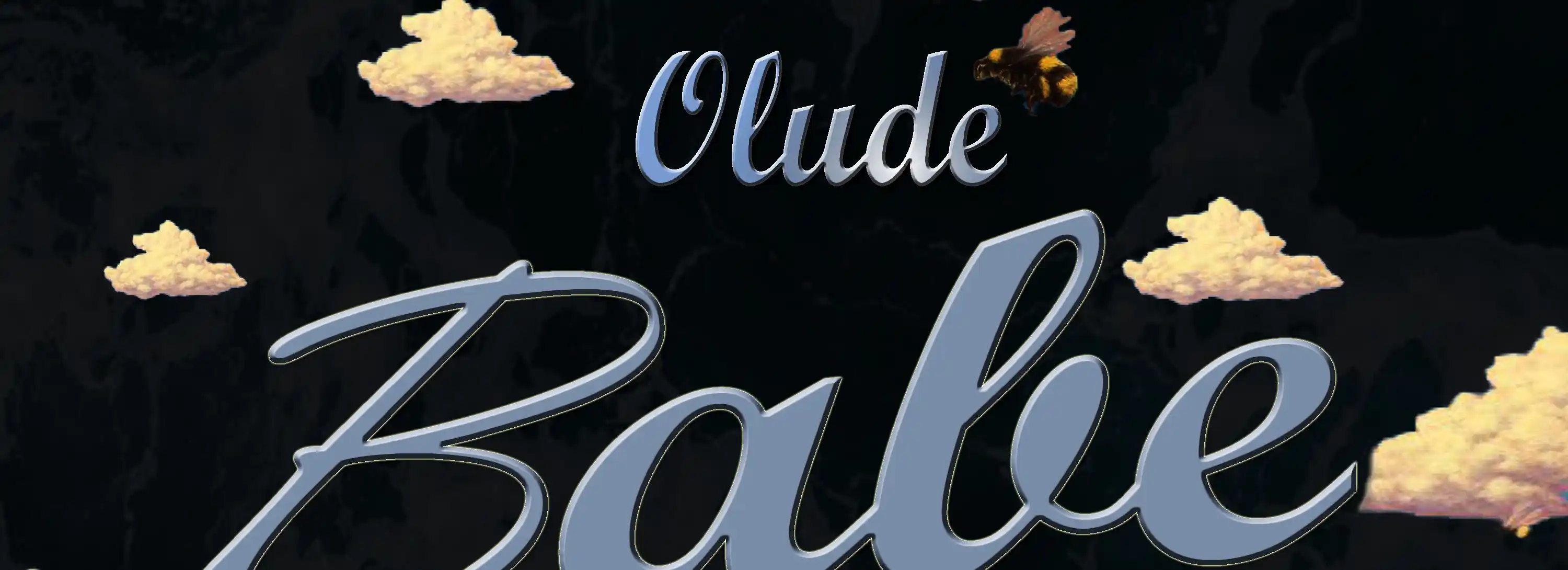 cover pic