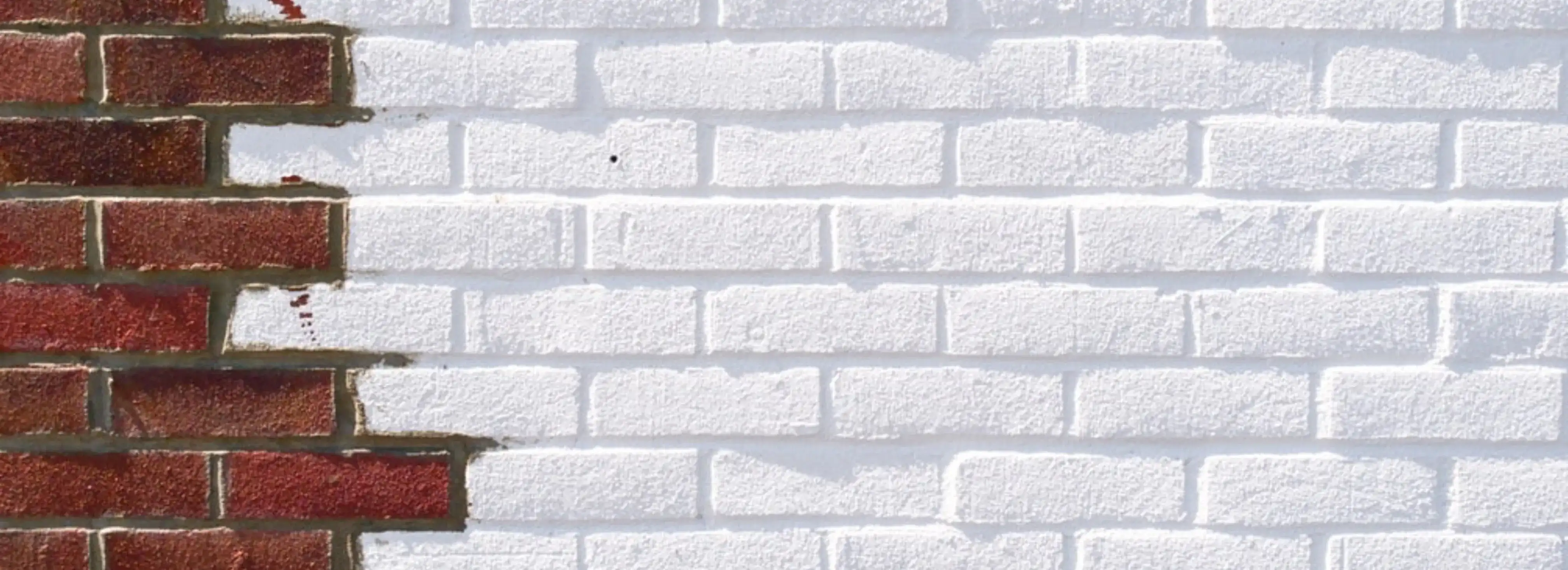 cover pic