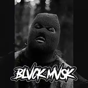 Picture for song 'BLVCK MVSK' by artist '1ndigo Ch1ld Beats'
