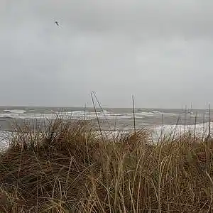 Picture for song '20240101_103759aCapitalBra_fs_786scheint' by artist '786 scheint-Al'lahs Bande'