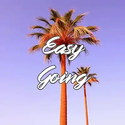 Picture for song 'Easy Going' by artist 'Anac On The Beat'