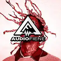 Picture for song 'Counting' by artist 'Audio Fiene'