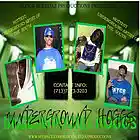 Picture for song 'FLOSSIN' by artist 'Block Bleedaz Productions'