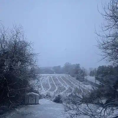 Picture for song 'Minimal trap beat' by artist 'dommm'