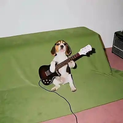 Song picture