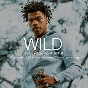 Picture for song 'WILD (Young Thug x Future x Trap x Pop Type Beat)' by artist 'Kisses Beats'