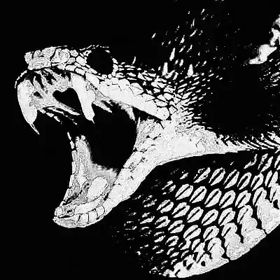 Picture for song 'SNAKE' by artist 'KoRoN'