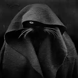 Picture for song 'You took the wrong road ...' by artist 'stefanos grigoriadis'