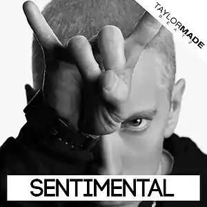 Picture for song 'Sentimental' by artist 'TaylorMadeBeatz'