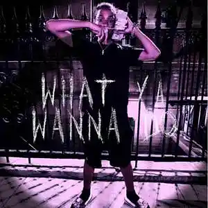 Picture for song 'WHAT YALL WANNA DO? (feat. Notti Osama)' by artist 'Voxbyy10k'