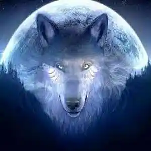 Picture for song 'Lone Wolf_Ken Lasaine on lead guitar' by artist 'Wayne Evans Project'