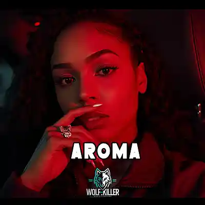 Picture for song '"AROMA" - Ghetto Zouk Instrumental 2026' by artist 'Wolf KillerBeats'