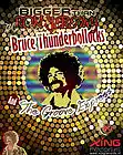 Picture for song 'Bigger Then Ron Jeremy 2mix -mp3' by artist 'Bruce Thunderbollocks and The Groove Express'