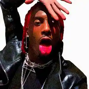 Picture for song 'Playboi Carti - "Crazy"' by artist 'Dalma'