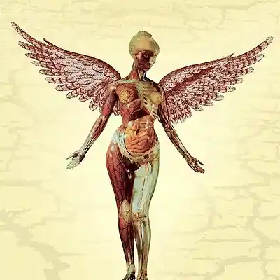 Picture for song 'About a girl (cover)' by artist 'Darkie'
