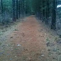 Picture for song 'My Name Is Cain ' by artist 'D B Hankinster'