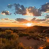 Picture for song 'Golden Days-80bpm' by artist 'DOTWRECK Productions'