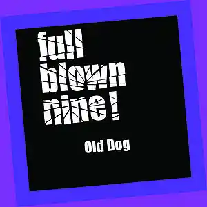 Picture for song 'Old Dog' by artist 'Full Blown Nine'