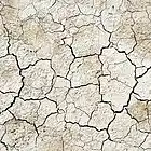 Picture for song 'Earthquake' by artist 'JSowBeats'