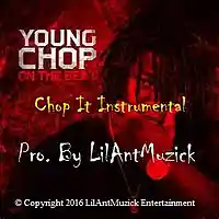 Picture for song 'Chop It - Beat Pro by LilAntMuzick' by artist 'Lil Ant Muzick'