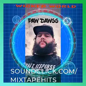 Picture for song 'life what you gonna do (pawdawgg flownominal)fin' by artist 'mixtape hits'