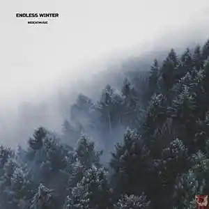 Picture for song 'Endless Winter' by artist 'REDCVT'