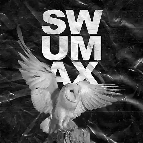 Picture for song 'COMA' by artist 'Swumax'