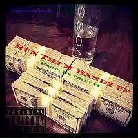 Picture for song 'Run Them Bandz Up' by artist 'CosaNostraTrippyy'