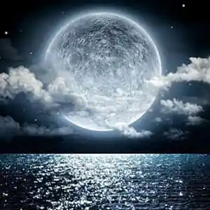 Picture for song 'MoonLight x RnB type beat Prod by Backzilla' by artist 'Backz'