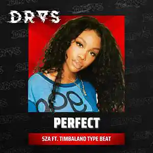 Picture for song '"Perfect" - A SZA ft. Timbaland Type Beat' by artist 'Dras On The Beat'