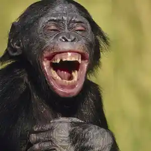 Picture for song 'FUNNY THINGS' by artist 'EAZY GO'