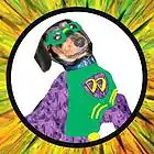 Picture for song 'Run Around In Circles' by artist 'Gugu Danger Dawg'