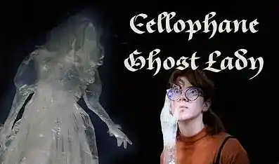 Picture for song 'Cellophane Ghost' by artist 'Johanna Renfro'